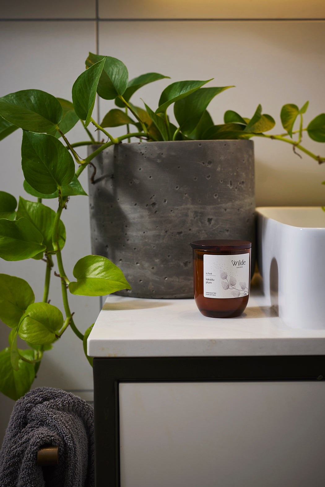 Wilde Aroma Candle on a white surface with plants and a gray planter in the background